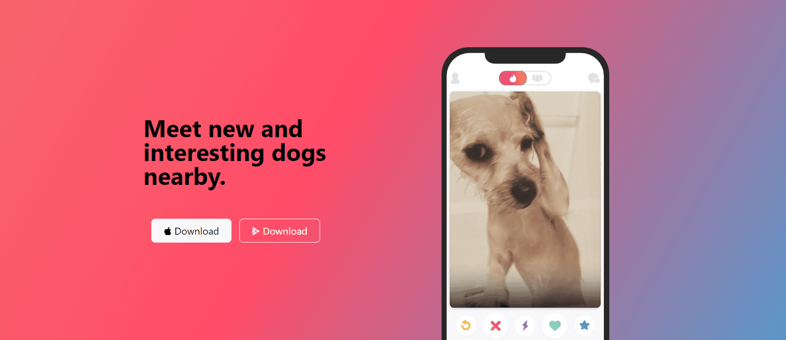 TinDog: Dating Website for Fur babies